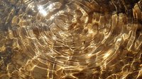 Rippling golden water surface with circular waves creating abstract pattern of light and shadow. Natural sunlight reflection creates mesmerizing liquid texture.