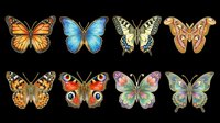 Colorful butterfly collection isolated on transparent background, ready for t-shirt designs, clipart, stickers, sublimation, print-on-demand products and digital crafts.