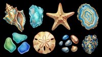 Seashells and starfish collection isolated on transparent background. Ready for t-shirt design, clipart, stickers, sublimation and print-on-demand products.
