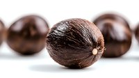Macro shot of fresh whole macadamia nuts in shells arranged in row on white background, showing natural brown texture and distinctive round shape.