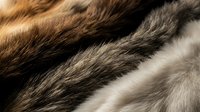 Soft animal fur texture close-up showing brown, gray and white tones, natural fluffy surface for fashion, textile, and luxury design backgrounds.