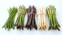 Fresh asparagus spears in green, purple and white varieties bundled with twine on white background, organic vegetables for healthy cooking and nutrition.
