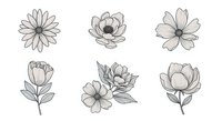 Botanical line art drawings of six different blooming flowers with stems and leaves, isolated on white background, ready for design projects, invitations, and decorative applications.