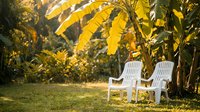 Two white plastic chairs under tropical banana trees with golden sunlight filtering through lush foliage creating peaceful garden atmosphere for relaxation.