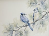Watercolor painting of two blue jays perched on pine tree branches with soft green needles against neutral background for nature art and home decor.
