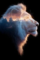 Majestic white lion profile with sunset forest scene double exposure effect on black background, creating ethereal wildlife art composition with glowing warm light.