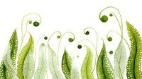 Young green fern fronds unfurling in spring with delicate spiral patterns and dots, creating organic curves against white background, isolated botanical design element.