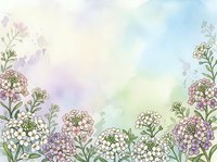 Delicate watercolor floral border with sweet alyssum flowers in soft pastel colors creating dreamy spring garden frame for wedding invitations and stationery.