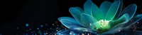 Luminous turquoise lotus flower with glowing center against dark background, mystical bokeh effect creates magical atmosphere. Panoramic composition for spiritual designs.