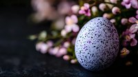 White speckled Easter egg with purple dots surrounded by soft pink spring blossoms on a dark textured surface, elegant holiday still life.