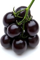 Fresh cluster of dark purple tomatoes on green stem against white background, macro photography showing glossy surface and natural texture. Suitable for food marketing.