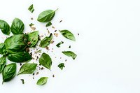 Fresh basil leaves scattered with dried herbs on white background, minimalist food photography composition for culinary and restaurant menu designs.