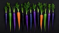 Fresh colorful carrots in purple, orange and green arranged in row on dark background, organic vegetables with green tops, healthy food concept.