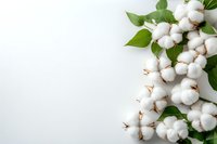 Cotton bolls with green leaves arranged on white background for natural textile and organic fabric design projects.