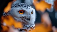 Snowy owl with striking golden eyes and white plumage with dark markings, surrounded by warm autumn foliage bokeh. Wildlife and nature photography.