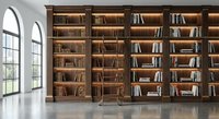 Large wooden bookshelf wall with multiple compartments filled with books in bright modern library interior with arched windows and polished floor.