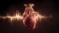 Anatomical human heart with glowing particles and sound wave visualization on dark background for medical education and healthcare concepts.