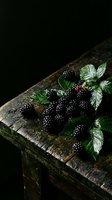 Ripe blackberries with green leaves arranged on rustic wooden surface against dark background. Fresh berries for culinary, food styling, and agricultural content.