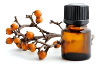Essential oil amber glass bottle with fresh orange sea buckthorn berries and branch on white background, natural organic cosmetic ingredient.