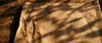 Vintage aged parchment paper with dramatic tree shadow patterns cast across textured surface creating artistic light and shadow composition for design projects.