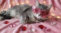 Adorable tabby cat wearing pink heart-shaped sunglasses lying on soft pink fabric with romantic decorative hearts and warm fairy lights.