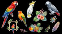 Colorful parrots and tropical birds isolated on transparent background. Macaw, cockatoo, and feathered friends ready for t-shirt design, clipart, stickers, and print-on-demand projects.