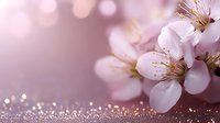 Delicate white cherry blossoms with golden stamens against soft pink bokeh background, macro photography with glitter effect creates romantic spring atmosphere.