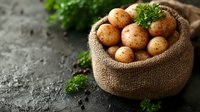 Fresh organic potatoes in rustic burlap sack with parsley on dark stone background. Natural farm vegetables for healthy cooking and food design.