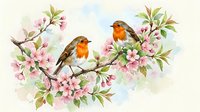 Two robins perched on blooming cherry blossom branches, soft watercolor style, pastel pink flowers and green leaves on light background.