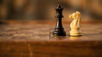 Black king and white knight chess pieces facing each other on wooden board representing strategic competition and tactical gameplay.
