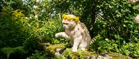 Fluffy white and orange cat standing on moss-covered stone in lush green garden surrounded by flowering plants and climbing vines, ideal for pet and nature content.