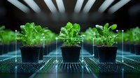 Young green plants growing in black pots on futuristic circuit board pattern surface under modern LED grow lights in hydroponic agriculture facility.