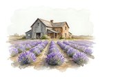 Rustic farmhouse with purple lavender field rows in watercolor style. Country cottage surrounded by blooming lavender plants in rural landscape setting.