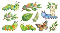 Caterpillar and butterfly lifecycle stages with green leaves and foliage on white background. Isolated clipart suitable for educational materials, children's designs, and nature-themed projects.