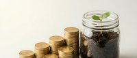 Growing money concept with coins stack and plant seedling in glass jar on neutral background for investment and savings growth.
