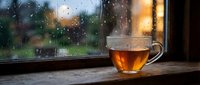 Steaming hot tea cup on wooden windowsill with raindrops on glass creating cozy autumn atmosphere for relaxation and comfort at home.