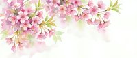 Watercolor cherry blossom branches with pink flowers and green leaves on white background, perfect for spring greeting cards and wedding designs.