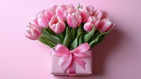 Fresh pink tulips bouquet with gift box and ribbon on soft pink background for spring celebration and romantic occasions.