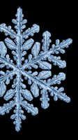 Detailed macro snowflake crystals with intricate geometric patterns on black background showing natural ice formation and winter frost structure.