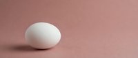 Single white chicken egg lying on soft pink textured surface with gentle lighting and minimalist composition for cooking and food photography concepts.