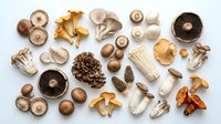 Assorted fresh and dried mushroom varieties including shiitake, oyster, chanterelle, enoki and portobello arranged on white background for culinary use.