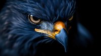 Close-up portrait of dark eagle with piercing amber eyes and sharp curved beak against black background, dramatic lighting highlights fierce predator features.