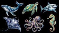 Whale, sea turtle, shark, manta ray, octopus, and seahorse isolated on transparent background, ready for t-shirt design, clipart, stickers, sublimation, and print-on-demand products.