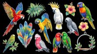 Tropical parrots and macaws collection isolated on transparent background. Colorful birds clipart ready for t-shirt design, stickers, print-on-demand products, sublimation and digital crafts.
