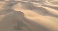 Smooth golden sand dunes with flowing curves and soft shadows creating natural desert landscape patterns for travel and nature backgrounds.