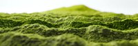Vibrant green moss landscape with rolling hills and textured surface, creating a miniature natural terrain for environmental concepts.