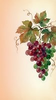 Watercolor grape cluster with vine leaves on gradient background for wine labels, kitchen decor, and culinary designs.