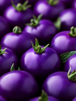 Fresh purple tomatoes with green stems arranged in rows, showing vibrant color and natural texture. Close-up macro photography highlights unique variety of heirloom produce.