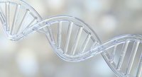 DNA double helix structure with transparent molecular bonds on blurred background for genetic research and biotechnology applications.