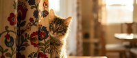 Tabby kitten peeking behind floral patterned curtain in warm sunlit room, playful domestic pet hiding during daytime indoors.